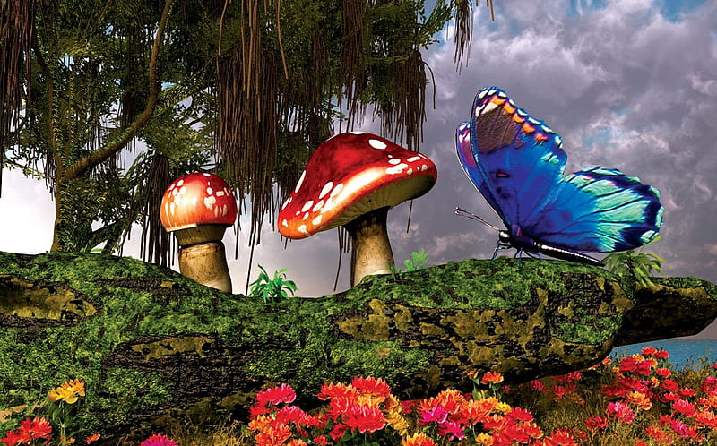 BUTTERFLY & MUSHROOMS, forest, tree, butterfly, flowers, mushrooms, HD wallpaper