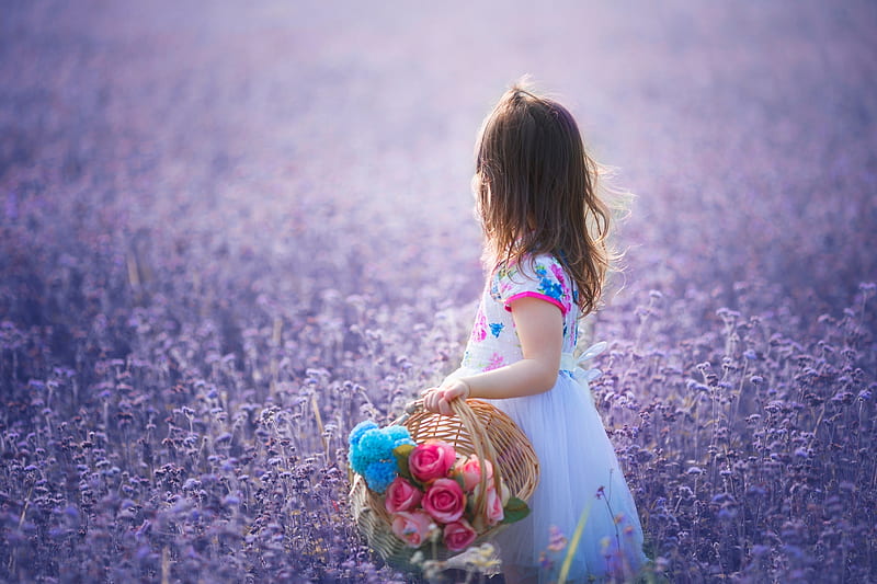 Little Girl, Field, Flowers, Basket, Meadow, HD wallpaper