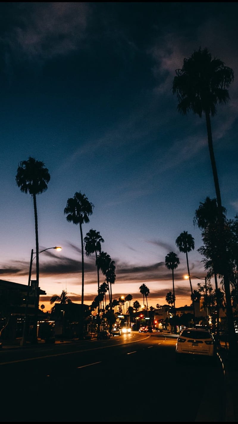 Sunsets, bonito, palma, road, sunset, HD phone wallpaper