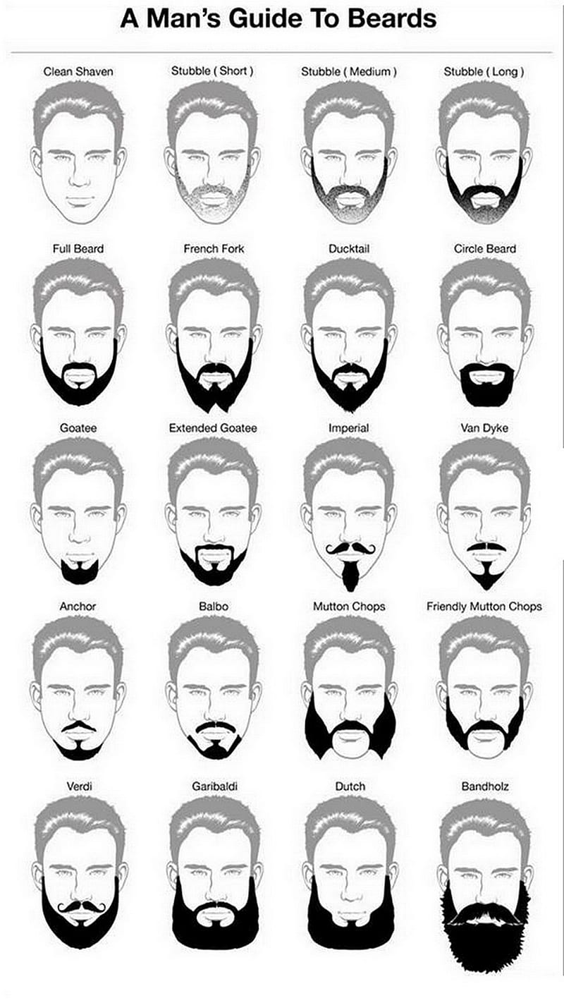 Beards, guide, man, style, HD phone wallpaper