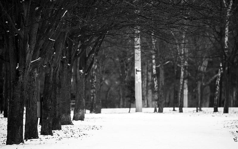 winter lights-Winter snow scenes, HD wallpaper
