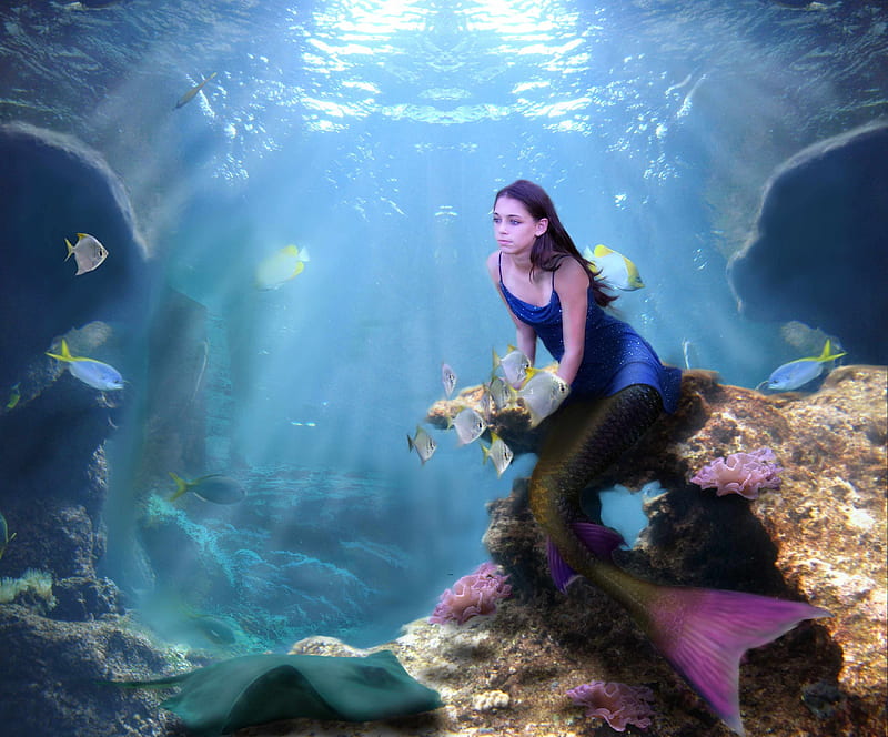 Deep mermaid, mermaid, fantasy, girl, sea, HD wallpaper | Peakpx