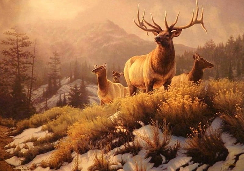 Elk in the Distance, draw and paint, love four seasons, attractions in dreams, deer, winter, paintings, snow, elk, mountains, nature, forests, HD wallpaper