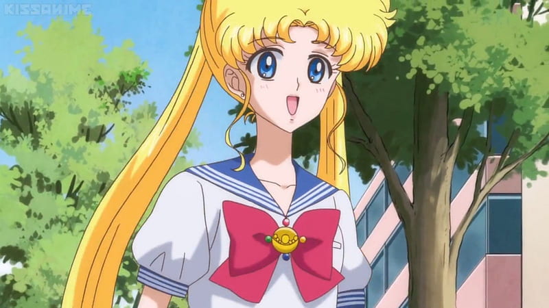 "Usagi Tsukino" - wide 5