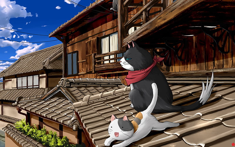 Cats on Roof Top, cloud, house, scenic, kitty, cat, sky, animal, building, anime, village, kitten, scene, HD wallpaper