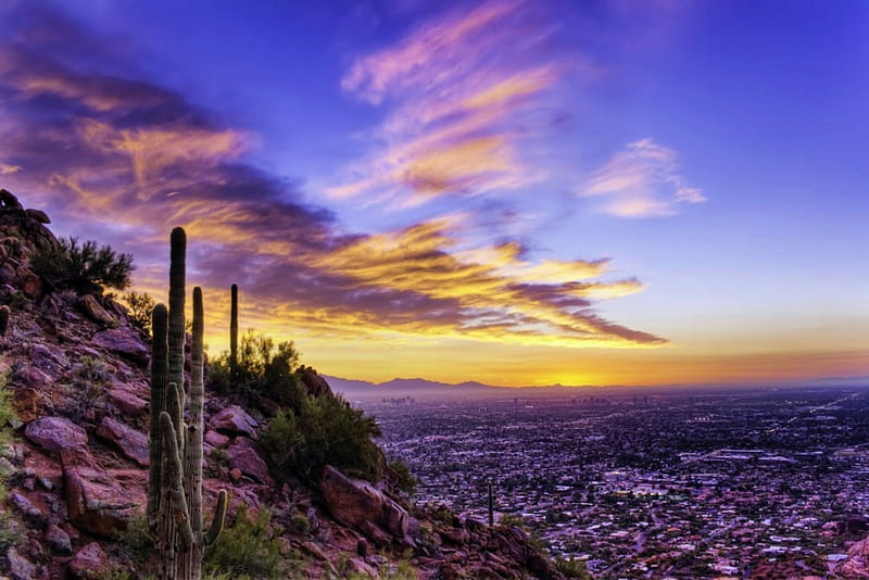 Sunset over Phoenix, Arizona, city, clouds, sky, cactus, landscape, HD  wallpaper | Peakpx