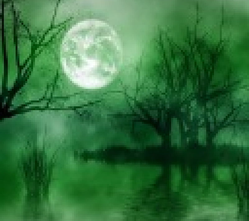 Full Moon Landscape, full moon, plants, nature, trees, lake, landscape, HD wallpaper