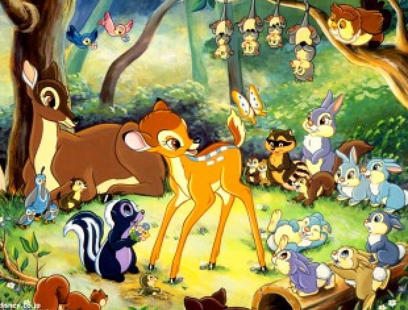 Bambi and Friends, forest, owl, possums, racoon, woods, rabbits, skunk, HD wallpaper