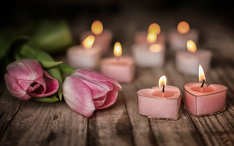 love concepts, pink tulips, candles, romantic evening, bokeh, corazones, beautiful flowers, tulips, HD wallpaper
