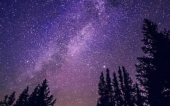 purple night sky background