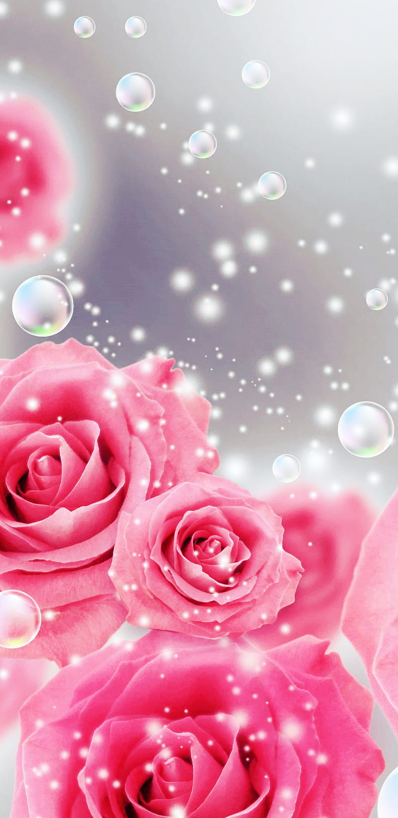 BubblesNRoses, bonito, bubbles, girly, pink, pretty, roses, HD phone wallpaper