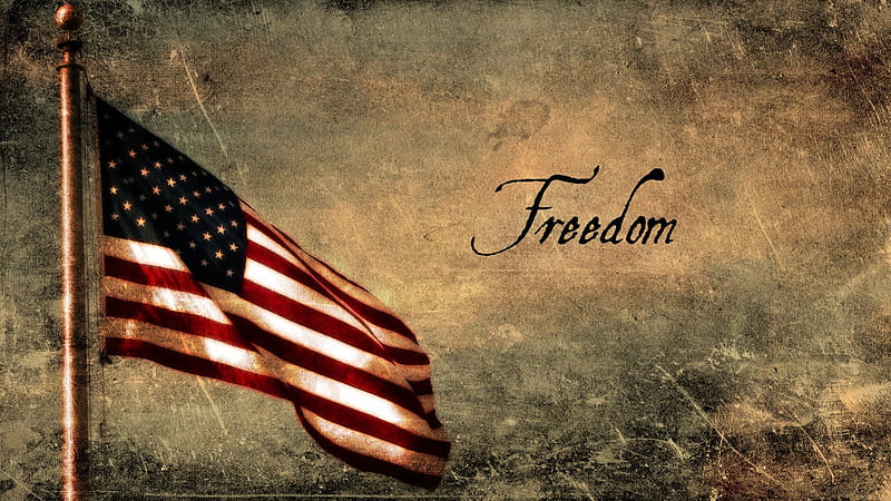 FREDDOM!, dom, american dom, patriotism, independence, HD wallpaper