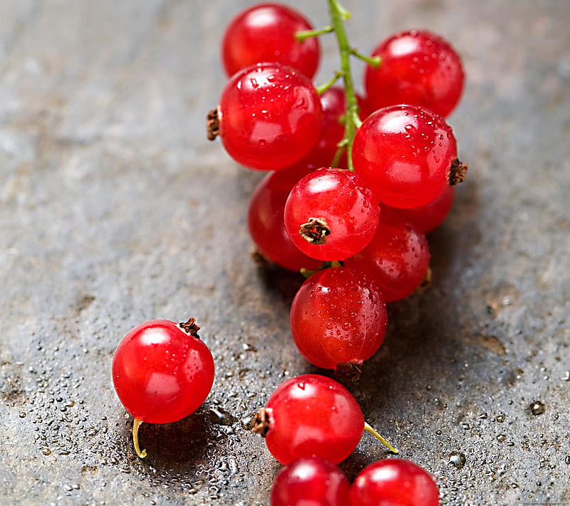 Red Grapes - Một chùm nho đỏ hấp dẫn đã sẵn sàng chờ bạn khám phá. Hãy chiêm ngưỡng hình ảnh đẹp nhất của các loại nho đỏ phù hợp để làm hình nền cho điện thoại hoặc máy tính của bạn. Hình ảnh chủ đề nho đỏ sẽ tạo ra cảm giác thích thú và yêu đời cho bạn.