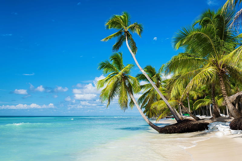 Caribbean paradise, Caribbean, palms, sea, sands, vacation, ocean, breeze, bonito, sky, beach, paradise, tropics, HD wallpaper