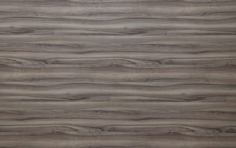 gray walnut board, macro, gray wooden texture, hazel textures, gray walnut, gray wood, wooden textures, gray backgrounds, wooden backgrounds, HD wallpaper