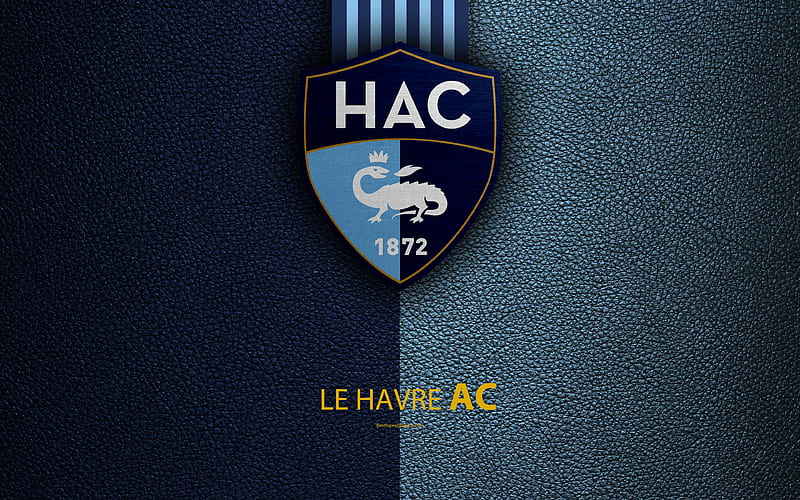 Le Havre AC, French football club Ligue 2, Le Havre FC, leather texture, logo, Le Havre, France, second division, football, HD wallpaper