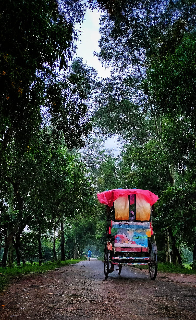 Road to say, rickshaw, HD phone wallpaper