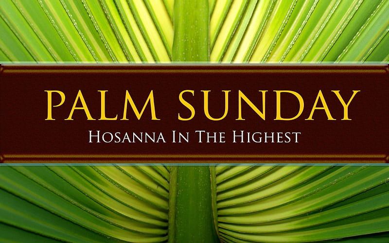 Palm Sunday, Sunday, Easter, Palm, HD wallpaper | Peakpx