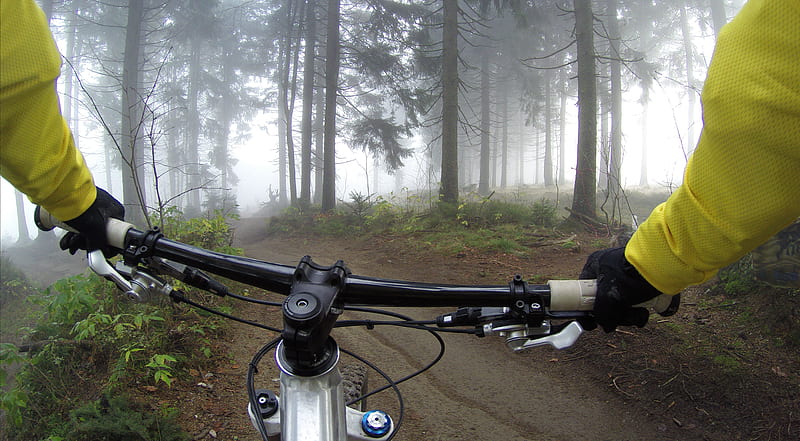 person riding on mountain bike in forest during foggy day, HD wallpaper