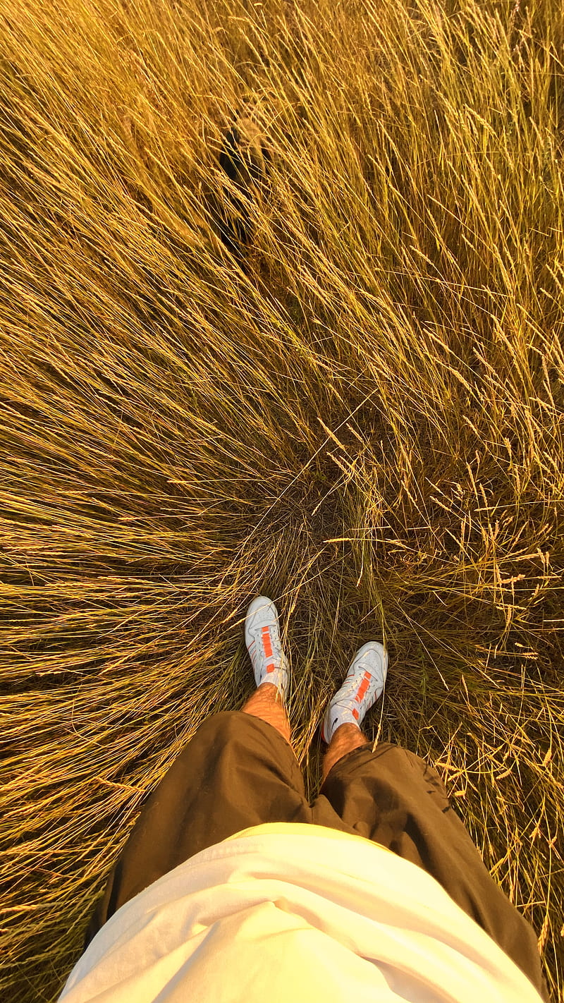 Person in Brown Pants and White Sneakers Standing on Brown Grass, HD phone wallpaper