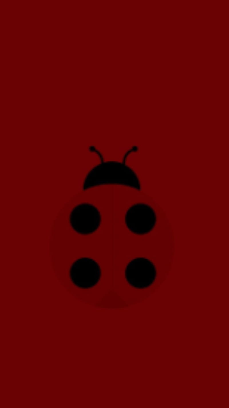 Ladybug, ladybird, ladybirds, ladybugs, red, HD phone wallpaper