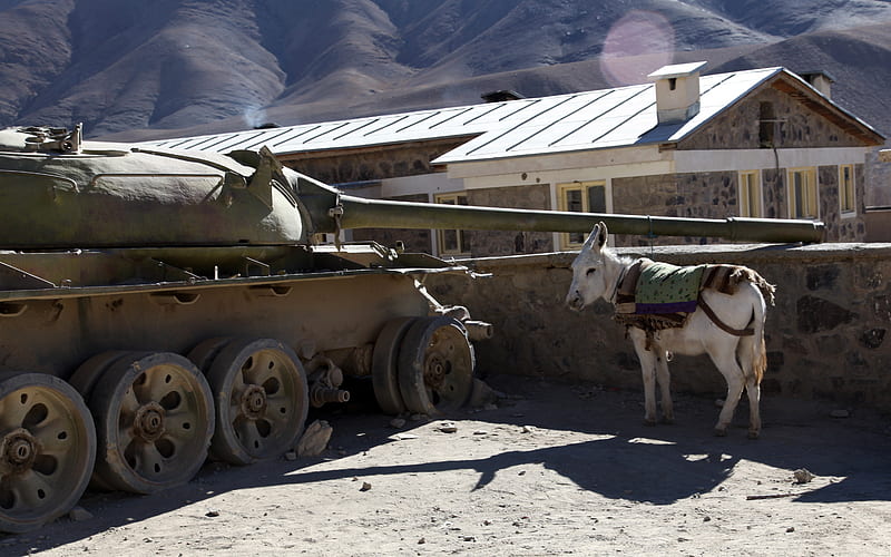 Iraki trailer, irak, tanque, casa, burro, HD wallpaper