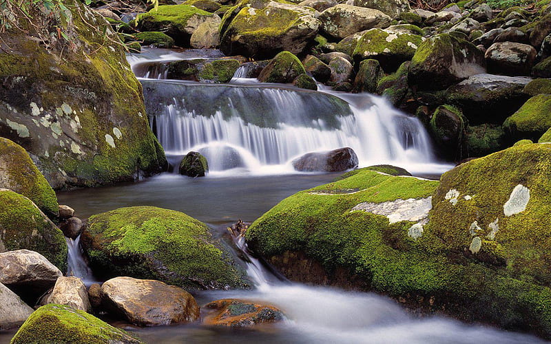 Roaring Lobnica River Pohorje Slovenia, rocks, roaring, covered, smoky, tennessee, mountains, moss, river, great, fork, HD wallpaper