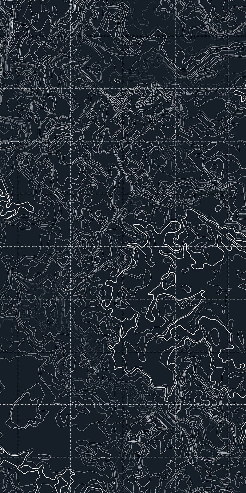 Topographic Theme Wallpaper  custom wallpapers by Wallvy Worldwide  shipping