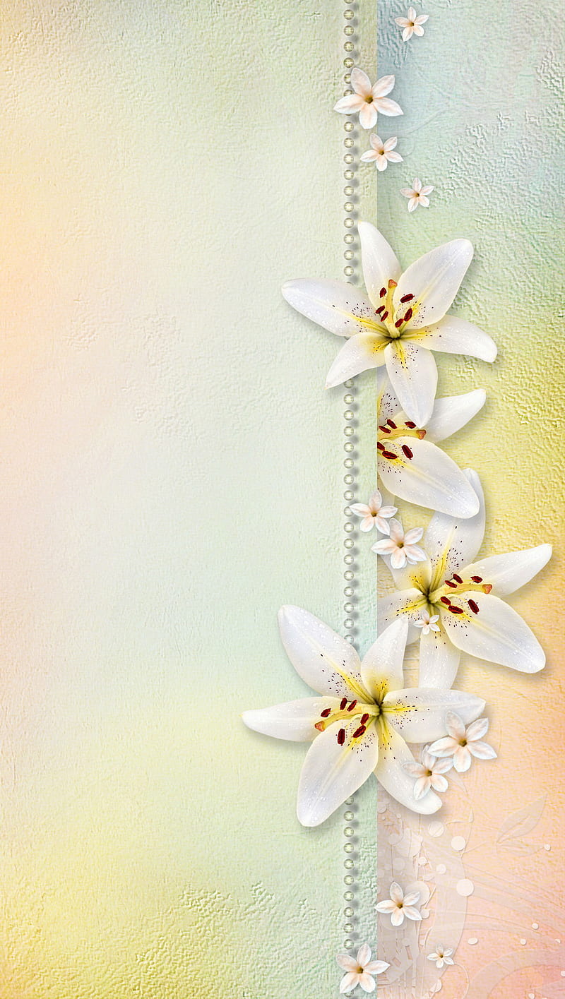 white Lilies, flowers, patterm, rainbow, HD phone wallpaper