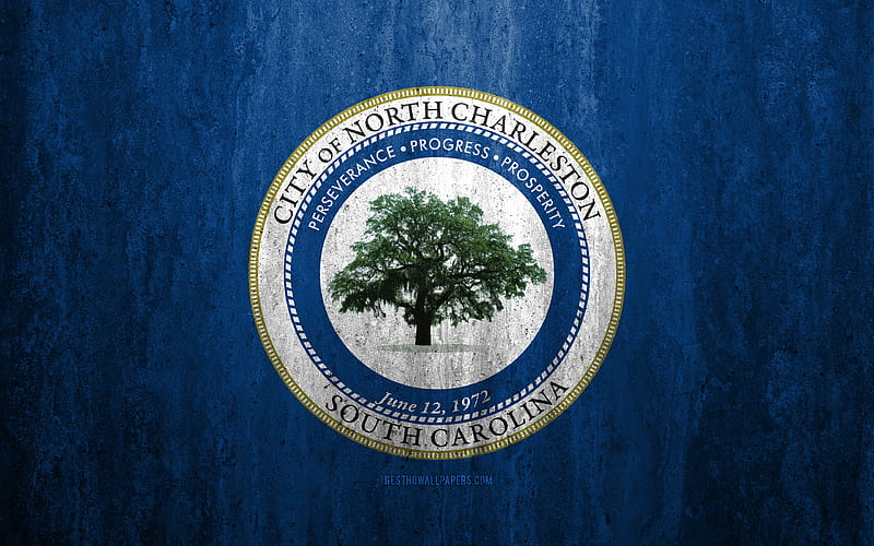 Flag of North Charleston, South Carolina stone background, American city, grunge flag, North Charleston, USA, North Charleston flag, grunge art, stone texture, flags of american cities, HD wallpaper