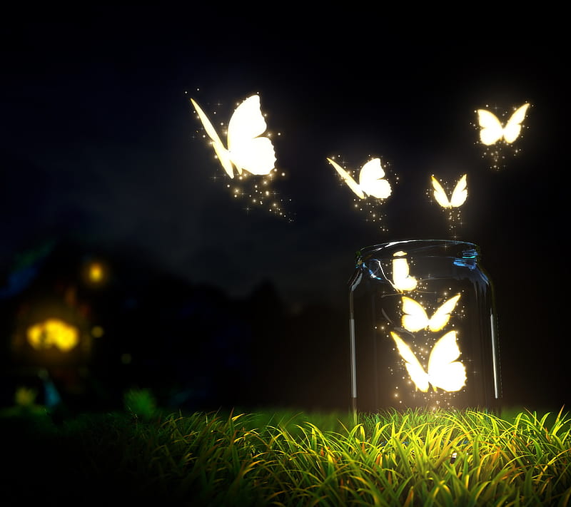 Night Glow, butterfly, glass, insect, jar, HD wallpaper