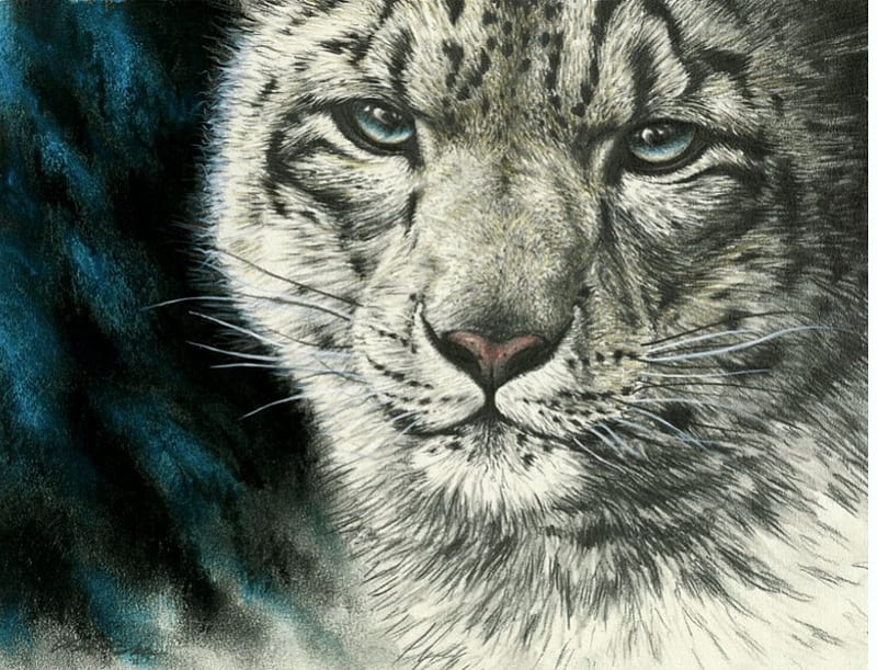 Snow Leopard, predator, head, painting, portrait, cat, artwork, HD wallpaper
