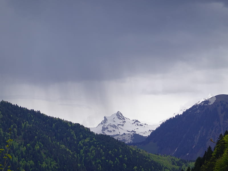 mountain, peak, forest, rain, landscape, HD wallpaper