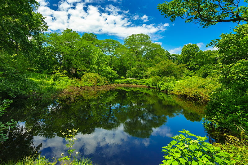 Earth, Reflection, Boston, Cloud, Greenery, Massachusetts, Park, Pond, Tree, HD wallpaper