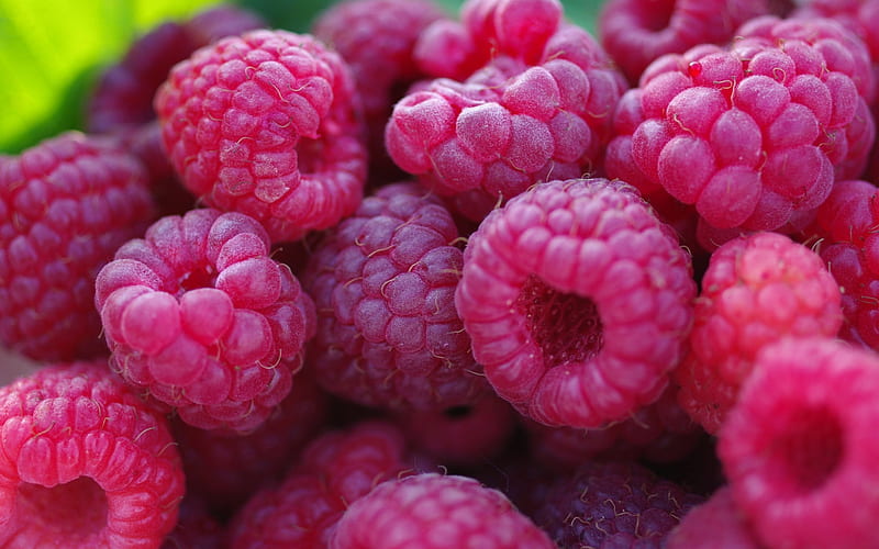 ripe raspberries, berries, red berries, forest, HD wallpaper