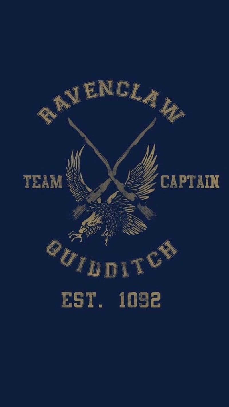 Ravenclaw Quidditch, harry potter, hogwarts, HD phone wallpaper