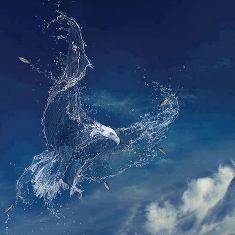 Water Eagle, art, blue, sky, HD phone wallpaper