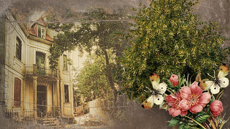The House That Built Me, house, victorian, home, firefox persona, butterflies, trees, grunge, urban, flowers, vintage, HD wallpaper