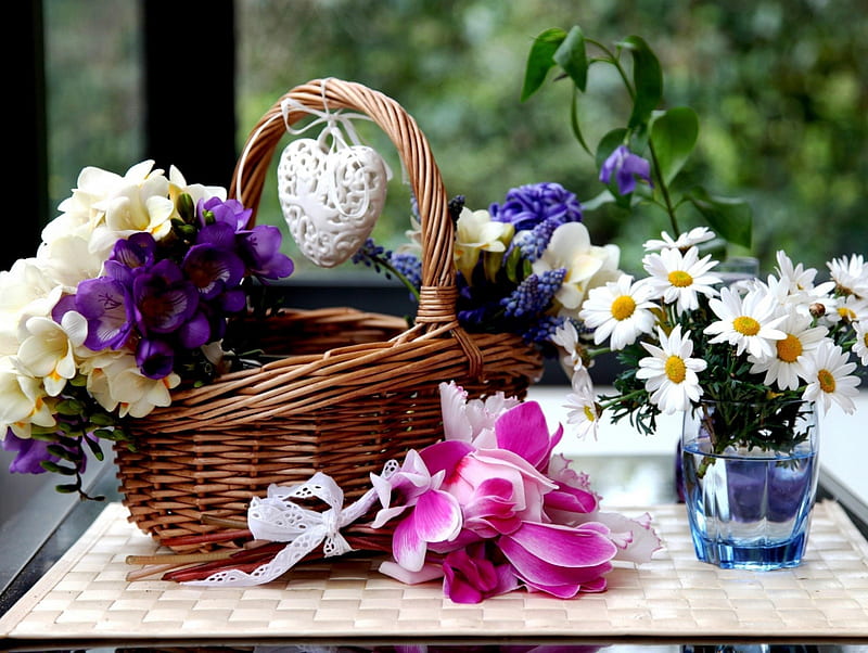 Flowers, daisies, still life, basket, cyclamen, blossoms, HD wallpaper