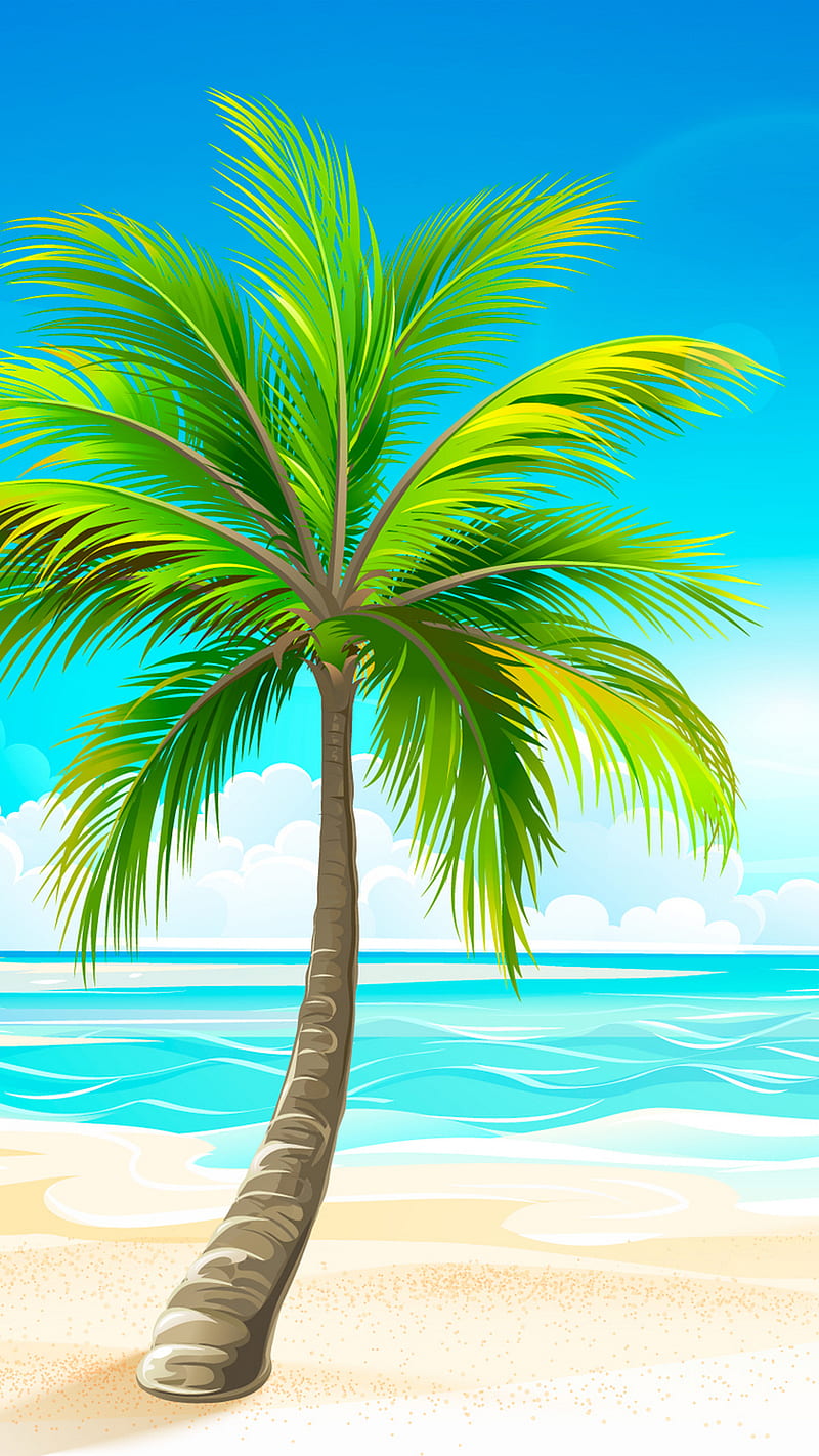 palm tree, beach, ultra, beaches, full, landscape, sea, background, HD phone wallpaper