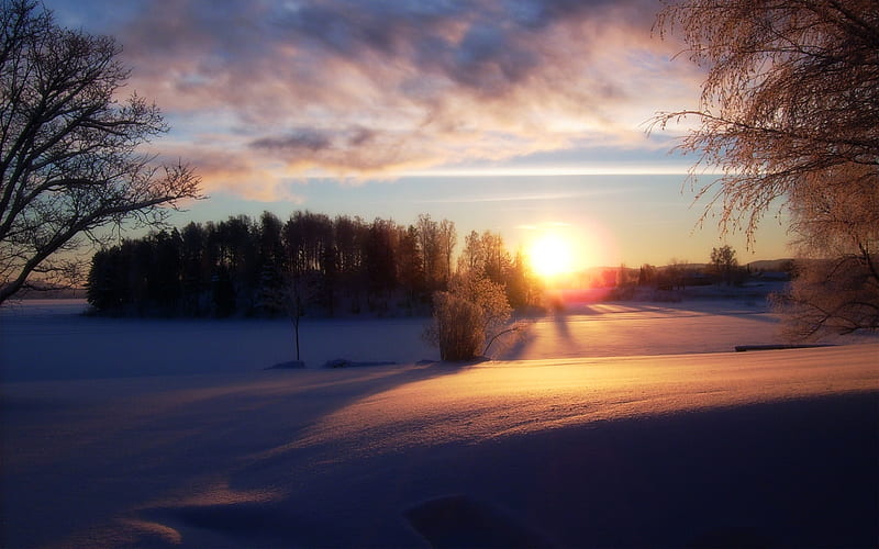 Winter sunset, soft, sunset, trees, seasons, weather, snow, shadows, nature, pastel, white, field, climate, HD wallpaper