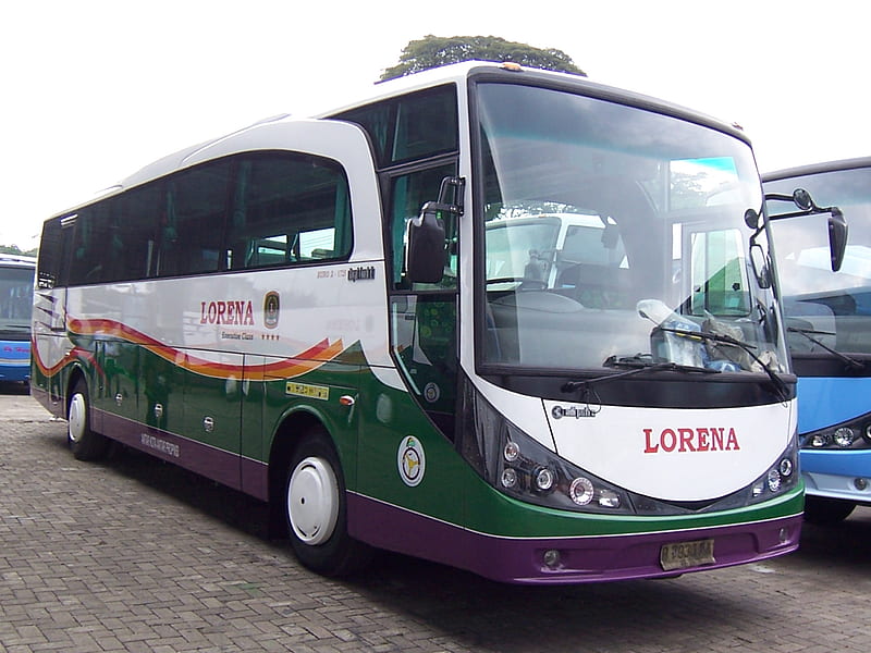lorena, paved parkway, indonesia, bus, HD wallpaper