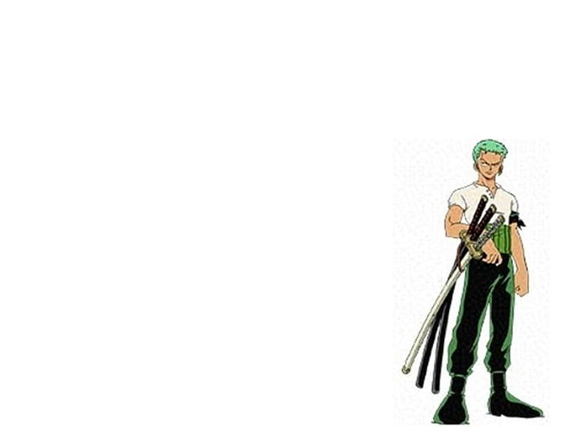 Luffy, Zoro, Lie Busanji, Nami, Chopper, Robin, and Merry HD One Piece  Fighting Path Wallpapers, HD Wallpapers