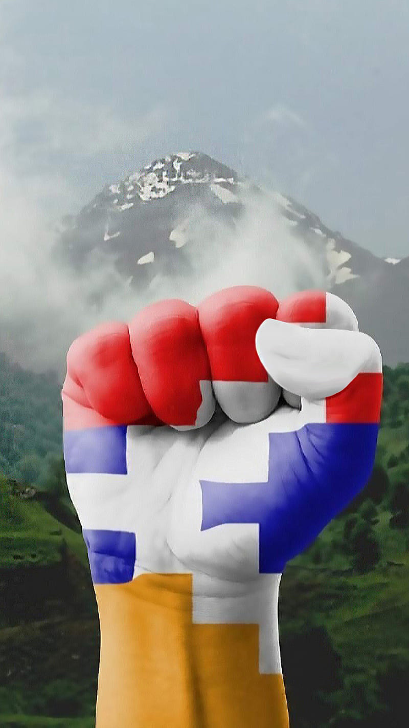 Armenialion armenianflag flag yerevan armenia lion HD phone wallpaper   Pxfuel
