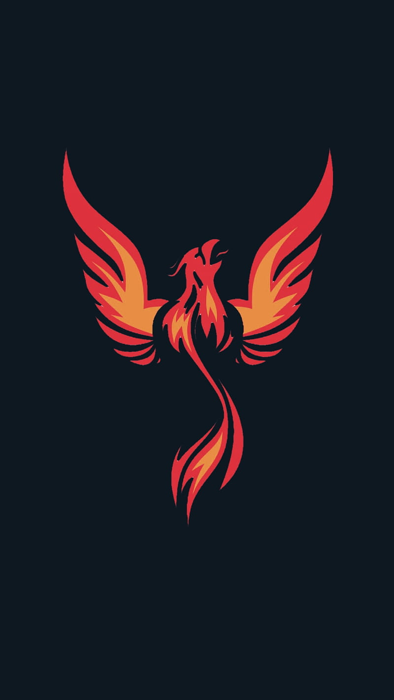 Phoenix , logo, mxr, zodiac, HD phone wallpaper