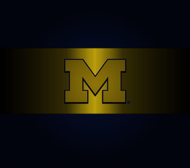Michigan Wolverines, go blue, michigan, uofm, wolverines, HD wallpaper