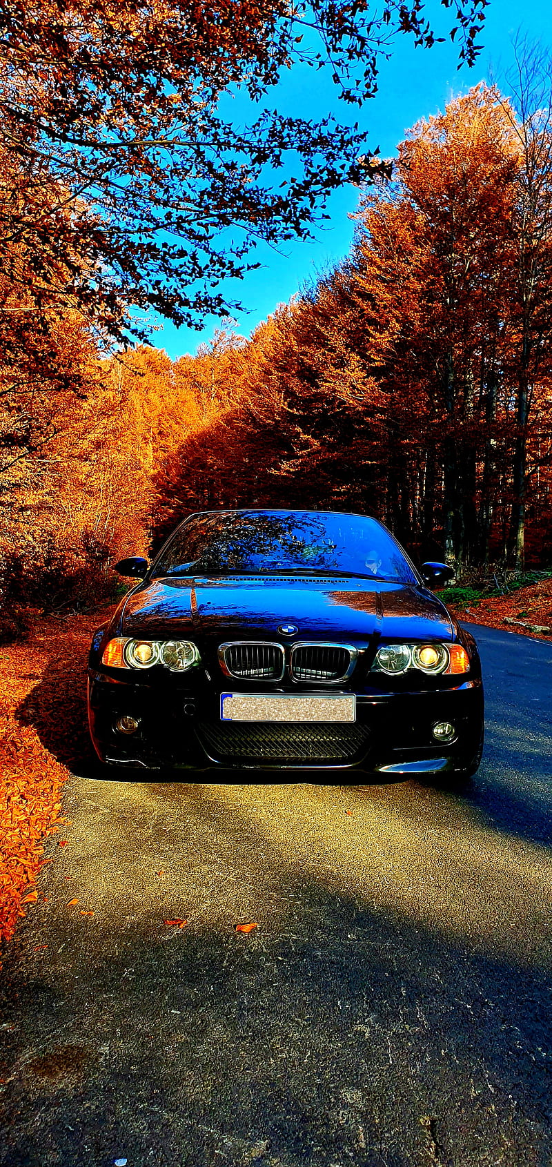 Bmw m3 autumn , autumn, bmw, bmwcabrio, bmwm3, cabrio, carenthusiast, carlover, colorfull, m3, sunny, HD phone wallpaper