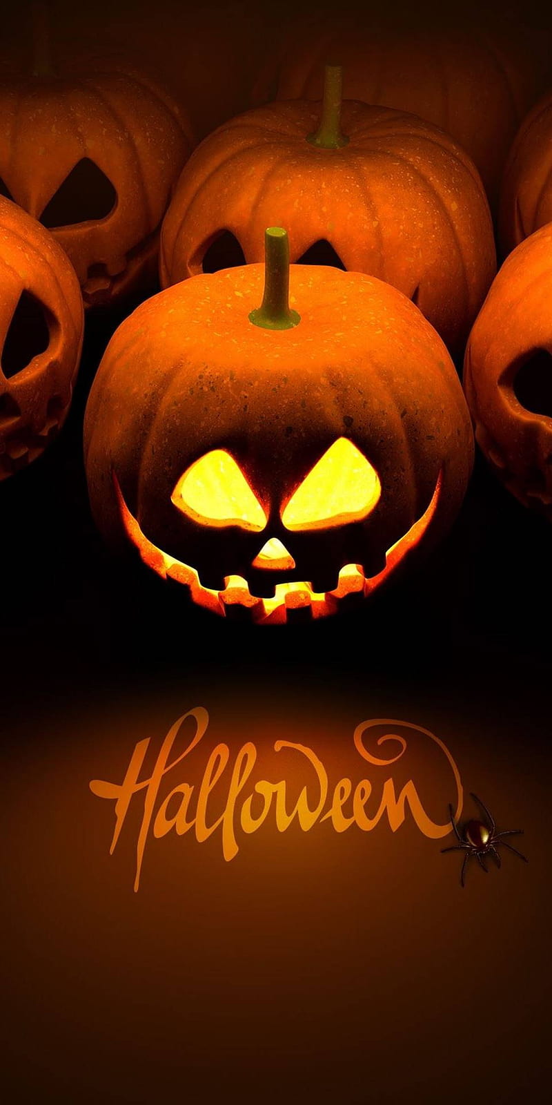 Hartlepool , halloween pumkin, scary, HD phone wallpaper