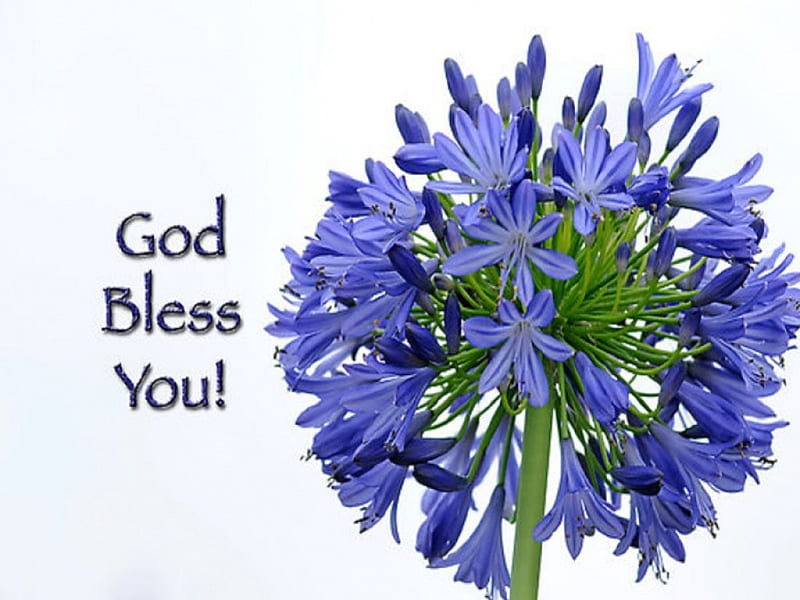 God Bless You, Greeting, Flower, Bouquet, HD wallpaper