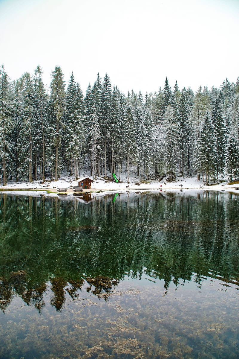lake, forest, house, snow, landscape, solitude, HD phone wallpaper
